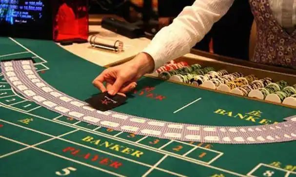 Bangladesh adult reviewing betting steps on a mobile screen